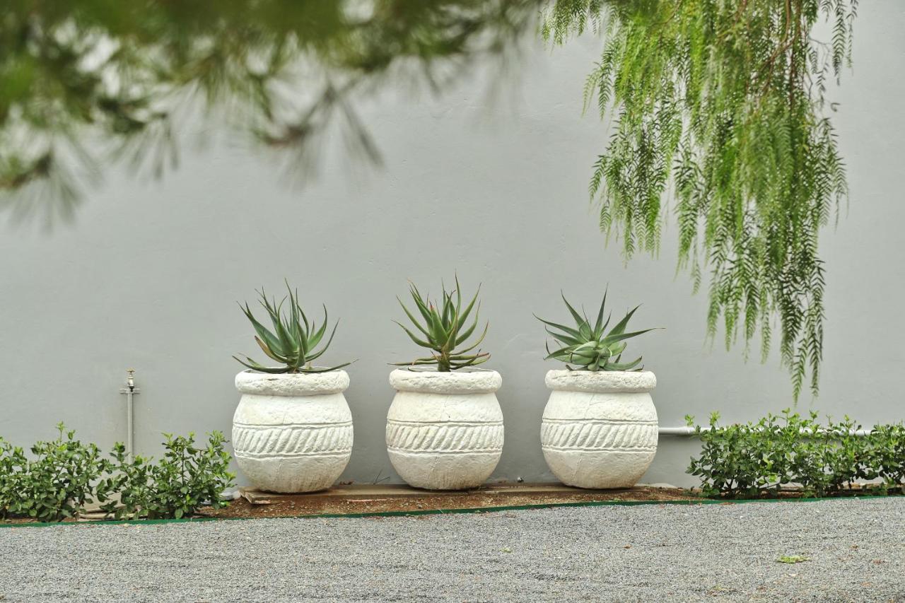 Appartamento The Fancy Cactus Colesberg Esterno foto
